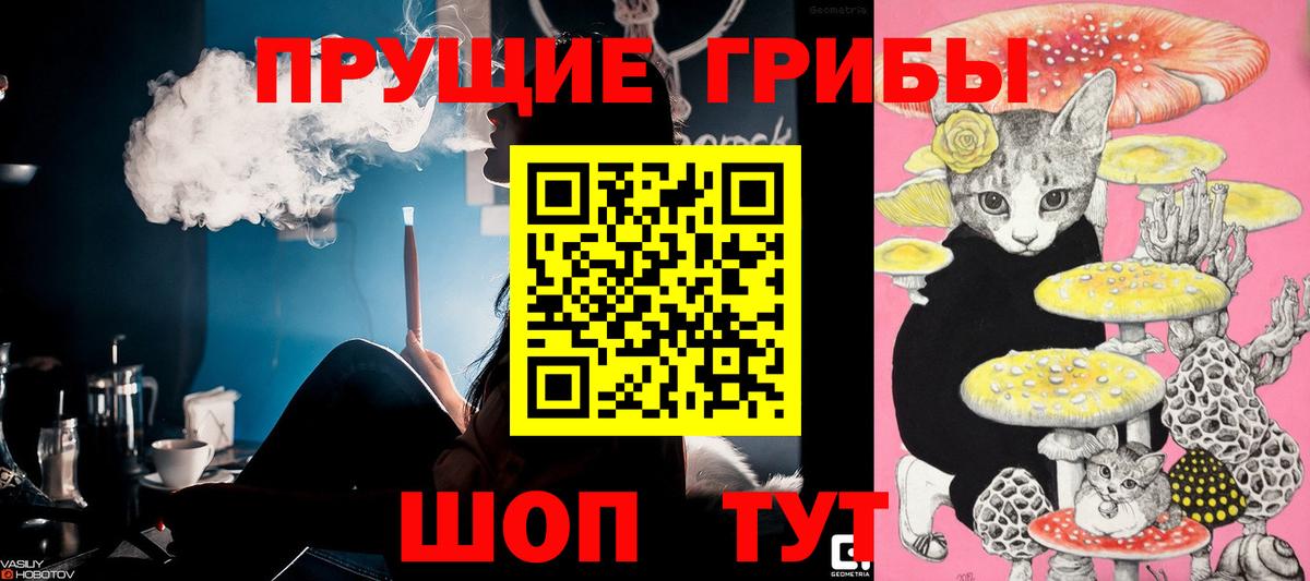 Псилоцибиновые грибы Cubensis Гурьевск